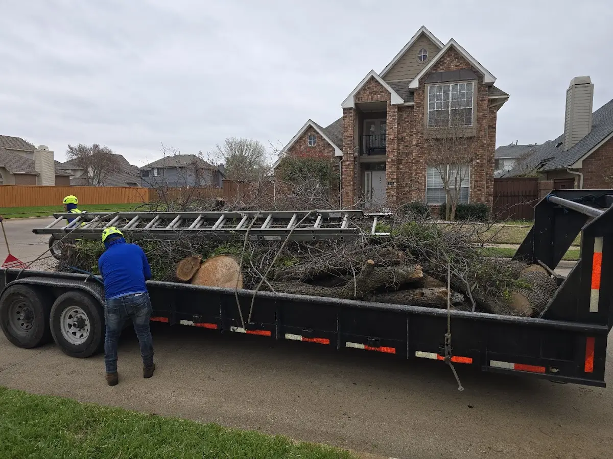 Expert Tree Fertilization with proper safety equipment in Abbeville